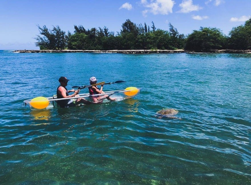 haleiwa sup rental