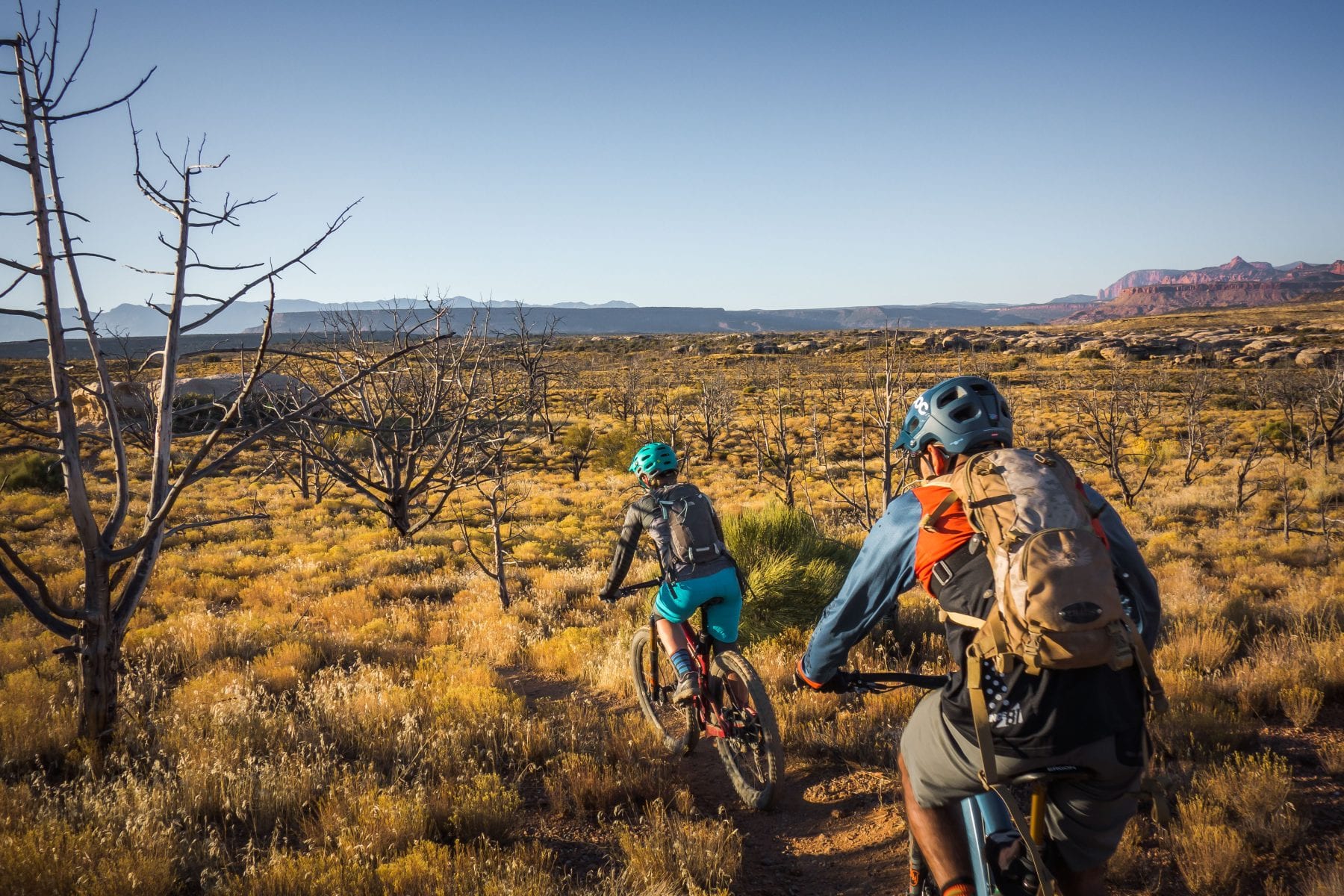 zion biking