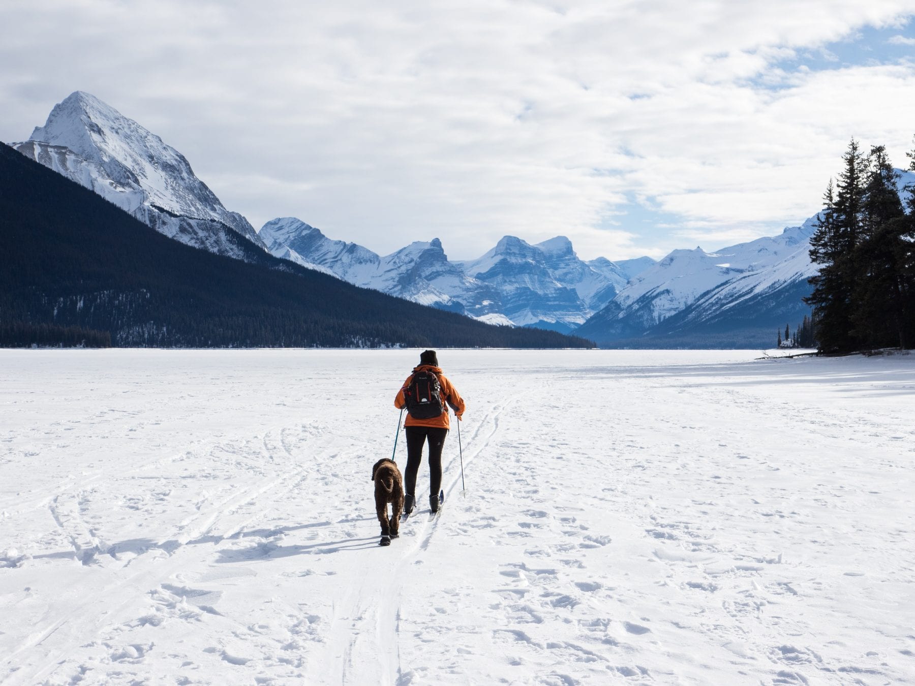 cross country skiing