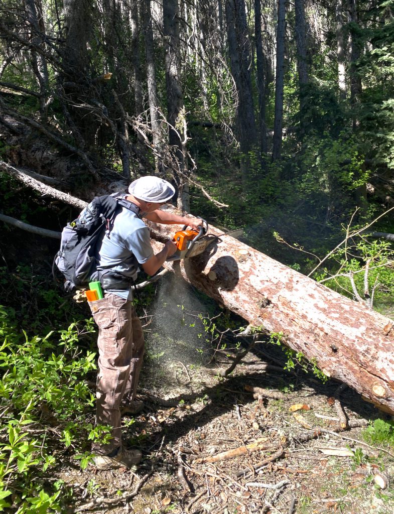 trail clean up tree cutting