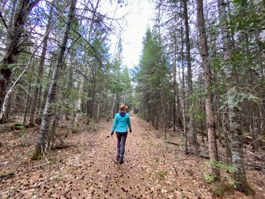 hiking in the bwca