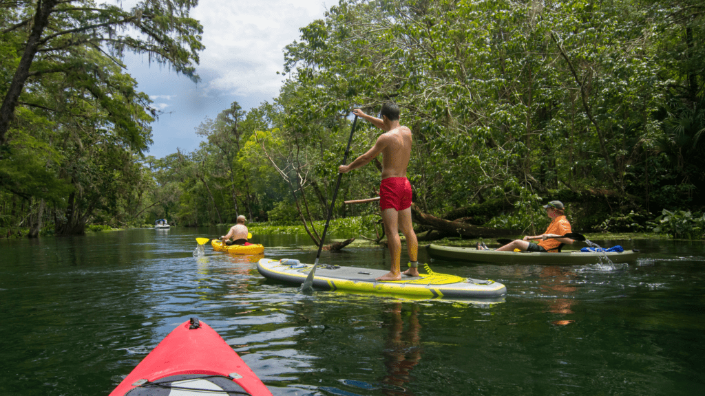 silver springs paddle boarding