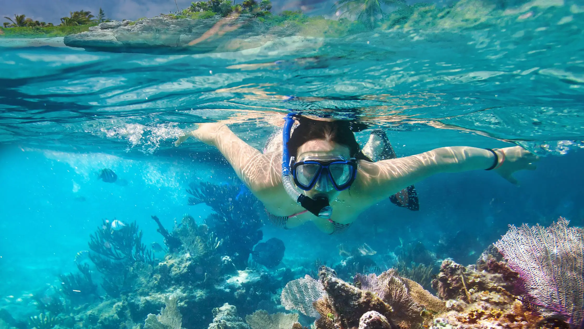 THE 10 BEST Orlando Scuba Diving & Snorkeling (Updated 2024)