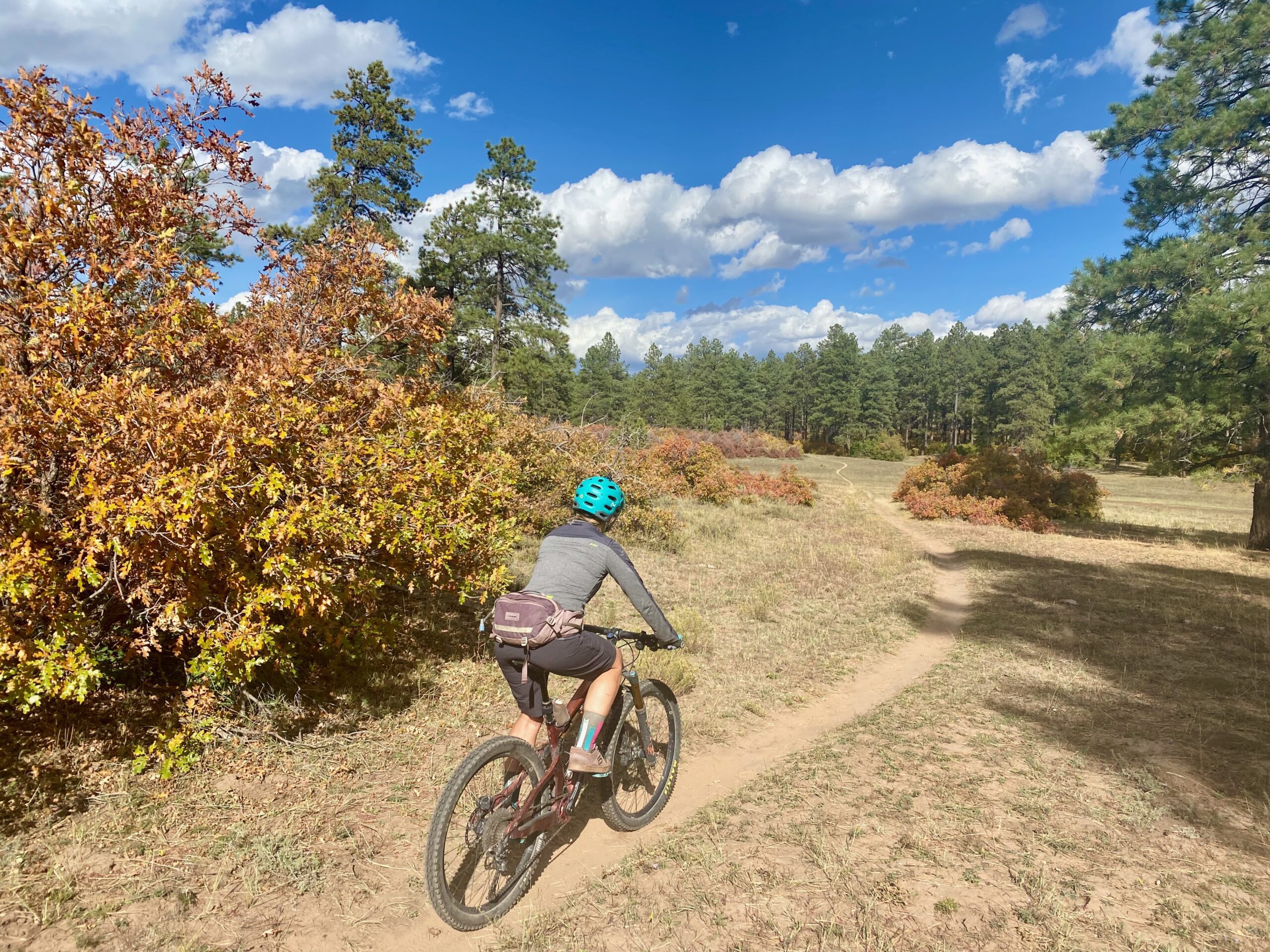 woman mountain biking in Dolores Colorado