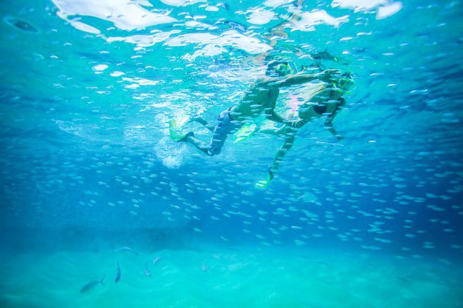 cabo san lucas snorkeling